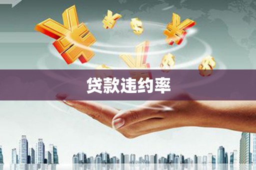 凤翔贷款违约率