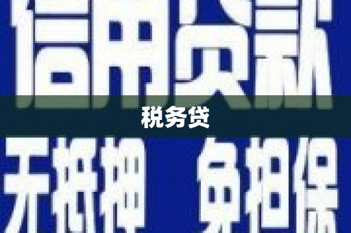 凤翔税务贷