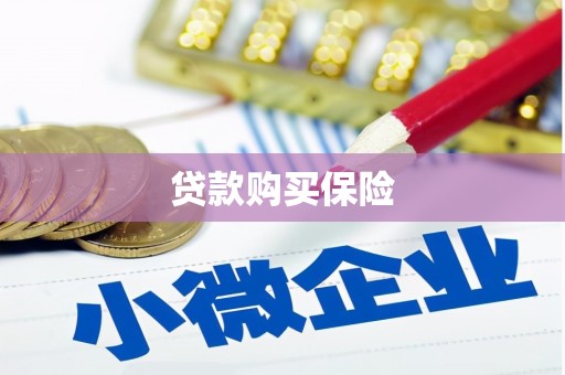 凤翔贷款购买保险
