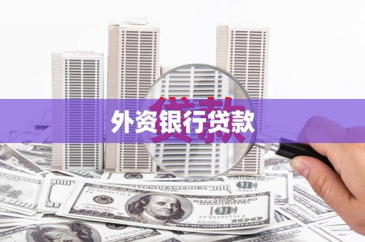 凤翔外资银行贷款