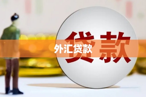 凤翔外汇贷款