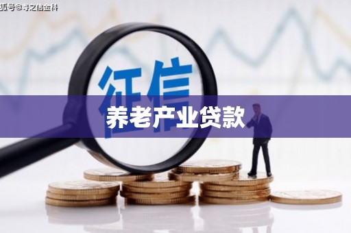 凤翔养老产业贷款