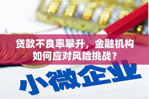 凤翔贷款不良率攀升，金融机构如何应对风险挑战？