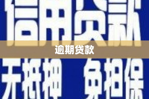 凤翔逾期贷款